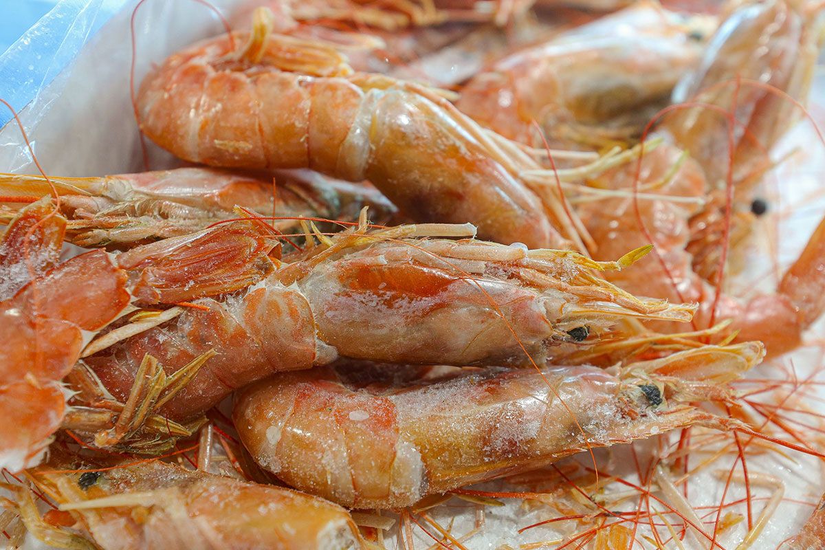 ��������� �������� �������� ��������� � ��������