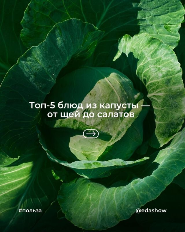 �������: ������������� ���������� ��� �������� � �����