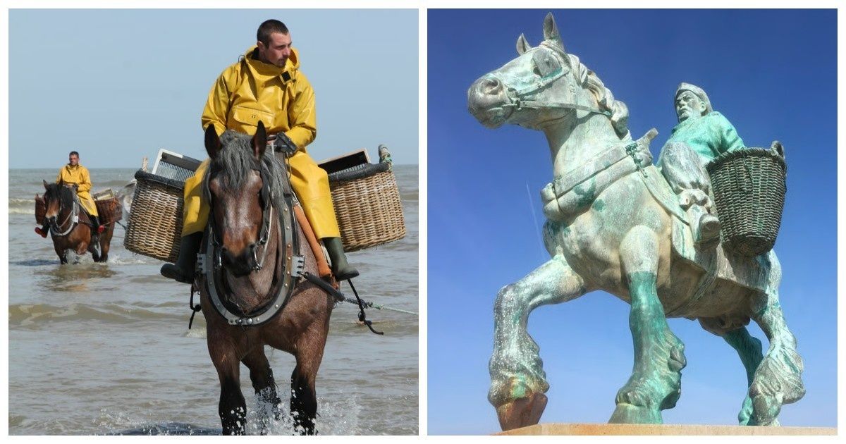 �� ������ ������������: ������ �������� ��������� ������� ��������