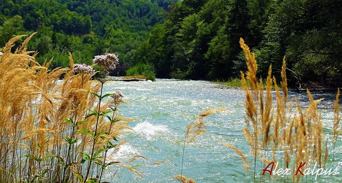 ������������� � ����������� �� ���� ����