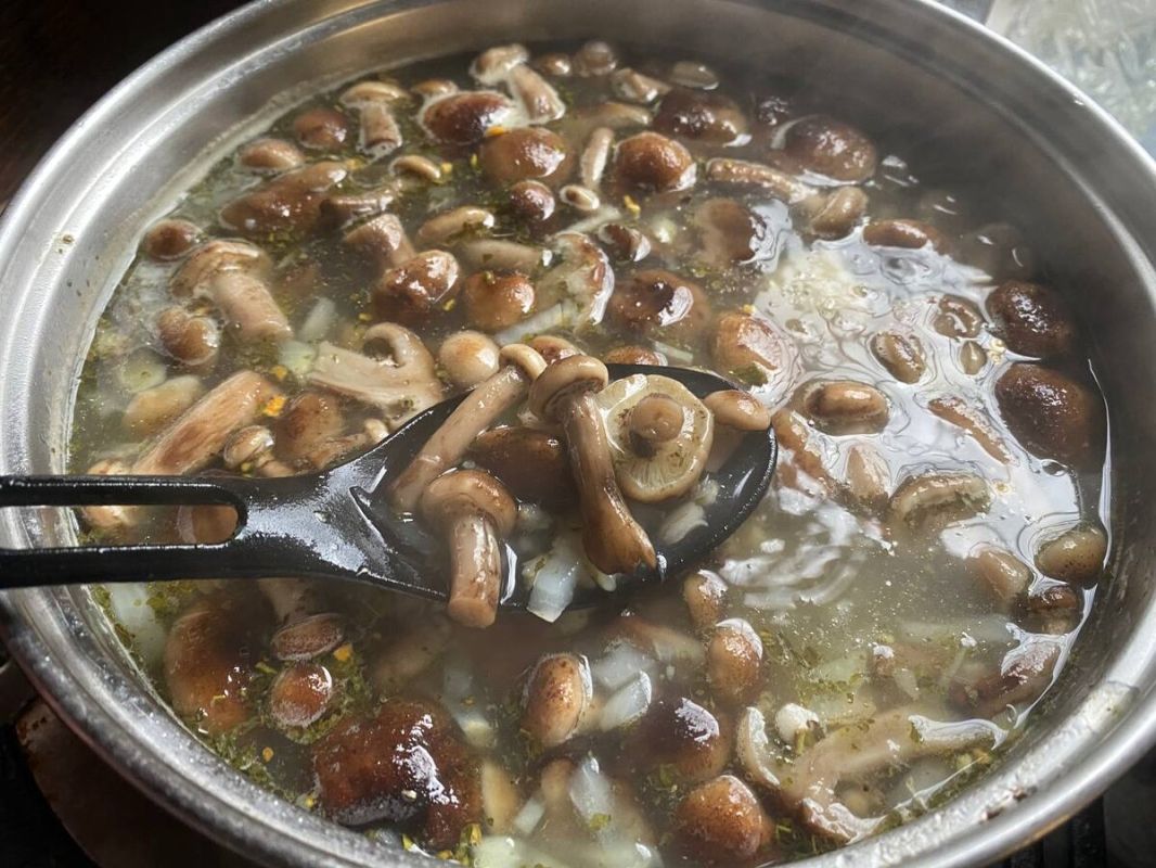 ��� �������� ���� �������� ���� � �������� ���������