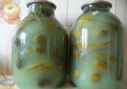 ��� ������ ����������� ������: ������ �� �������������� ���������