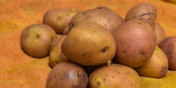 Казахстанские фермеры поднимают цены на овощи и семена