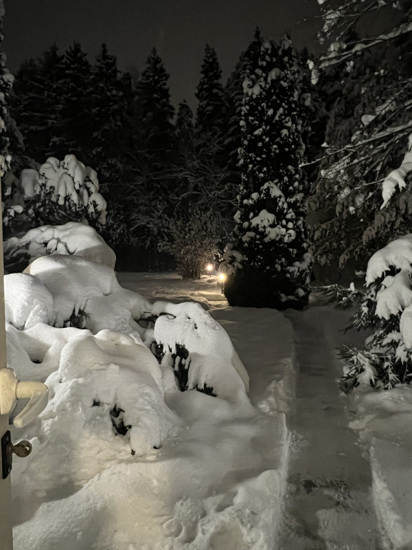 Как насладиться стейком после праздничных излишеств