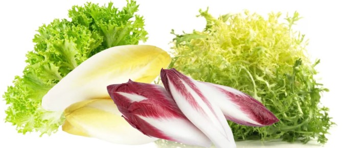 ������� � �������: ����, �������� � ��� ��������� �� �����������