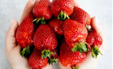 ��� ��������� ������ ��������: ������� ������ �� ������ � ��������� � �����������