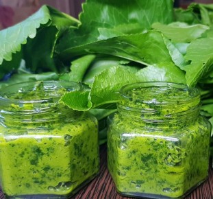 Приправа с хреном: как приготовить уникальную аджику на зиму