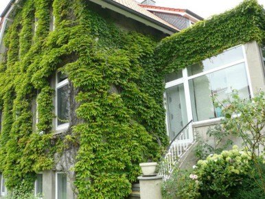 10 ����������� �������� ��������� ���� ���: ������� ������, ������� ����� ��������