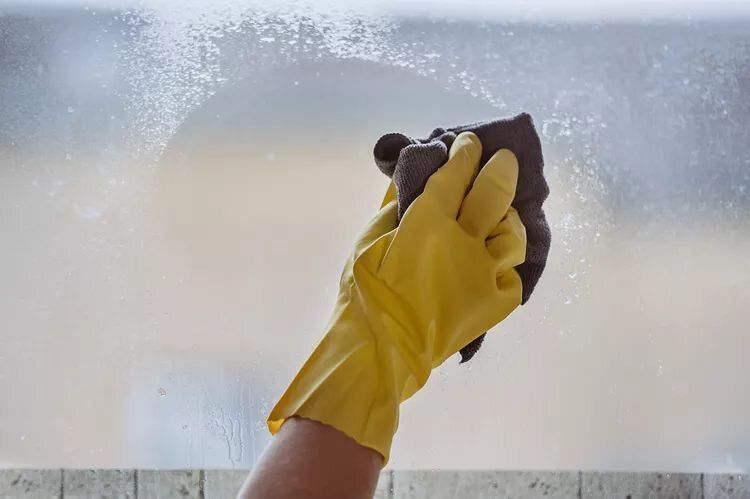 ��� ���������� ���������� �� ������� �������� �� ������� ����