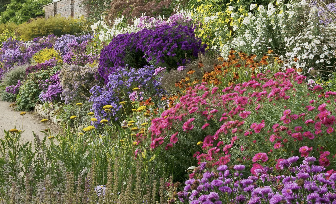 Как превратить проблемные участки сада в цветущий уголок