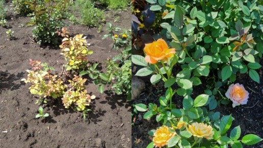 ��� ������� ����� � ������� �������� ��������� ���: ������� �����, ������� ��������