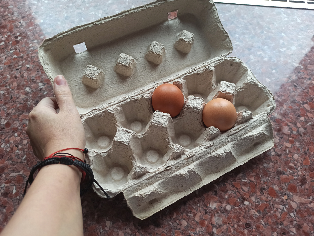 Как просто и эффектно использовать лотки от яиц в прихожей