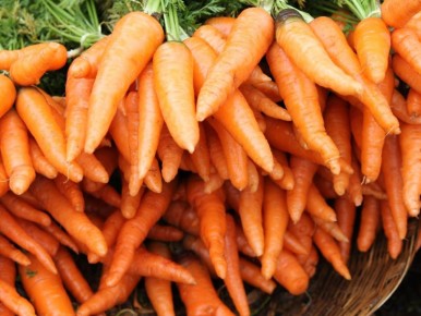 ��� ��������� ������������� � ��������: ������� ��������� �������