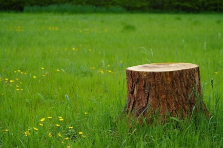 ����������� ������ �������� ����, � ������� �� �� �����