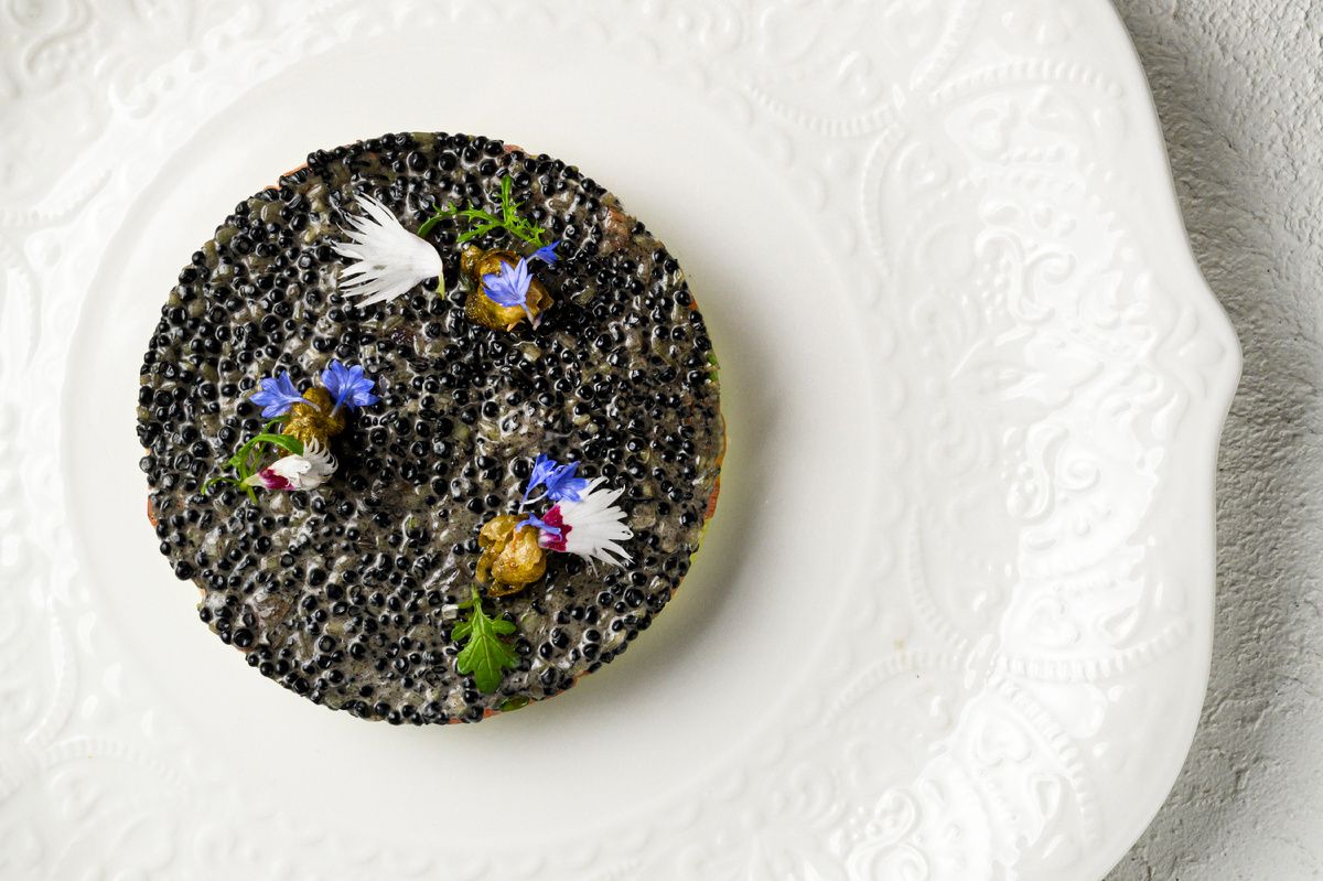 ������������ ���������� ����: waarheid � ����� � �����