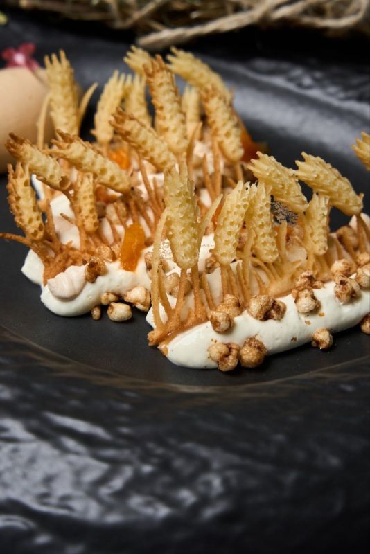 ���������������� �����������