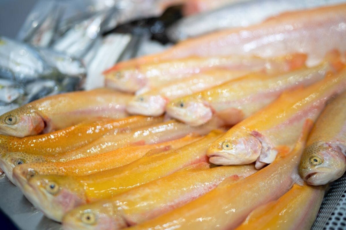 ������ � ������ ���������� �������� ������������: �������� �������� ���������� �����