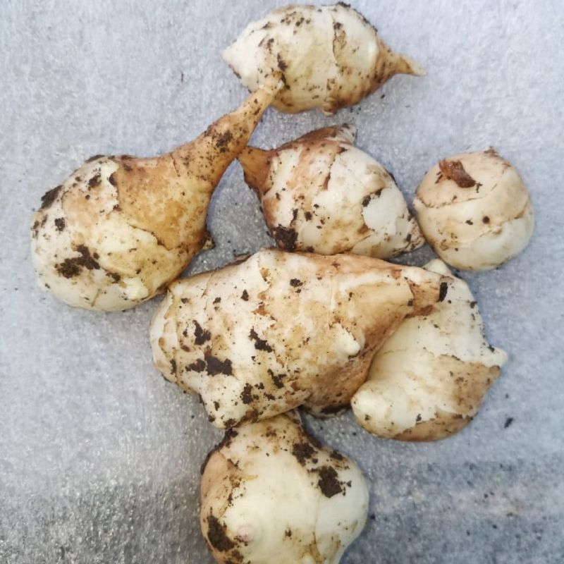 ������� �������� �����: ������ ����� ������� ���������� � ������