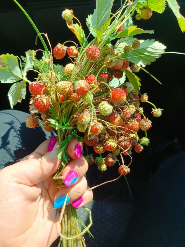 ������������ � ������ ��������: ����� �������� �� �����