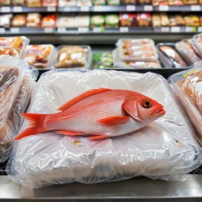 ���������� ������� ����, ����������� ��������: ������� ��������� �������������