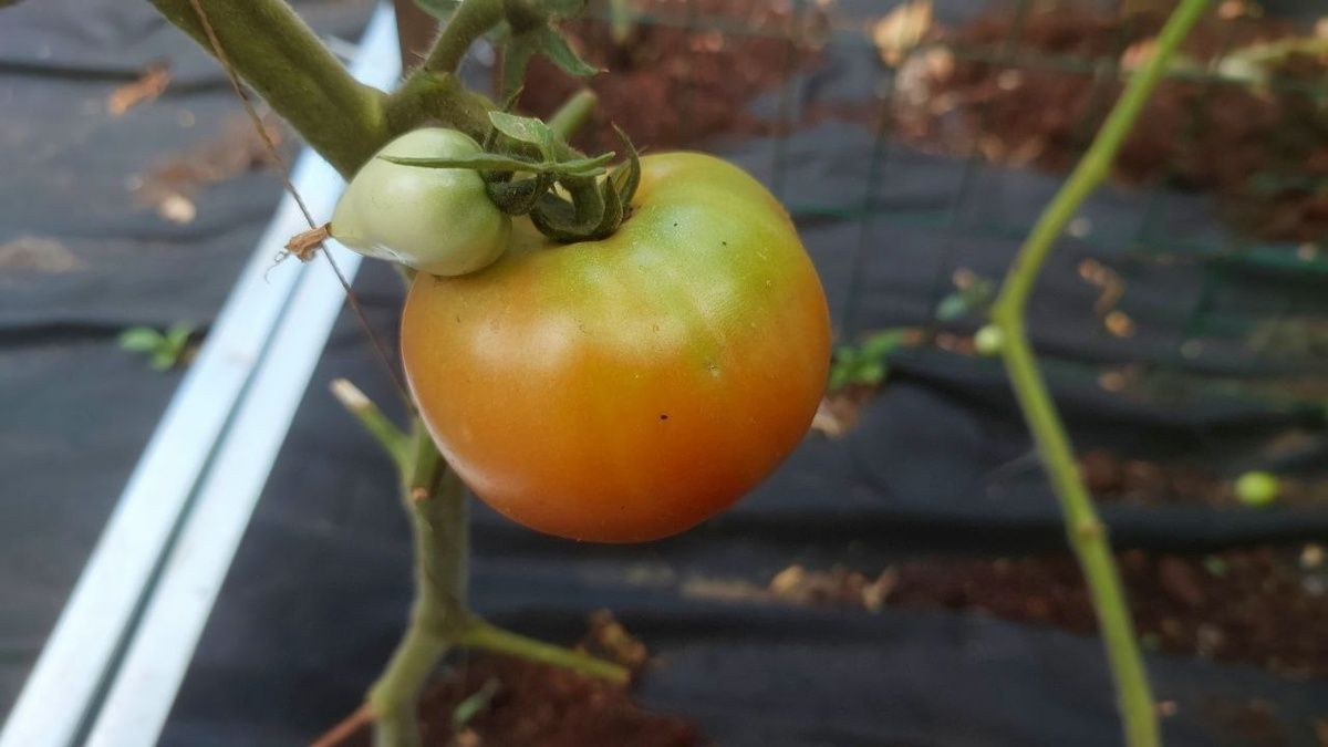 ��� ����� �� 45 ����� ����������� ���������� �������� � ������ ������