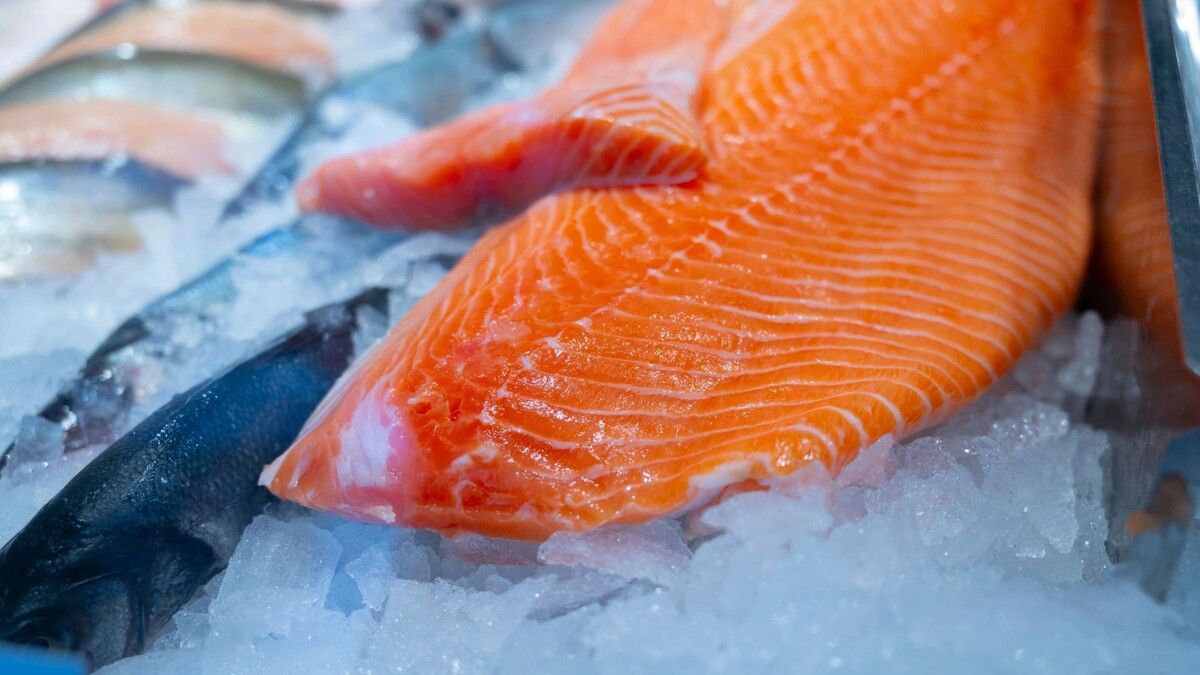 �� ��������� �������� ������ ������������ ��������� ������� ����