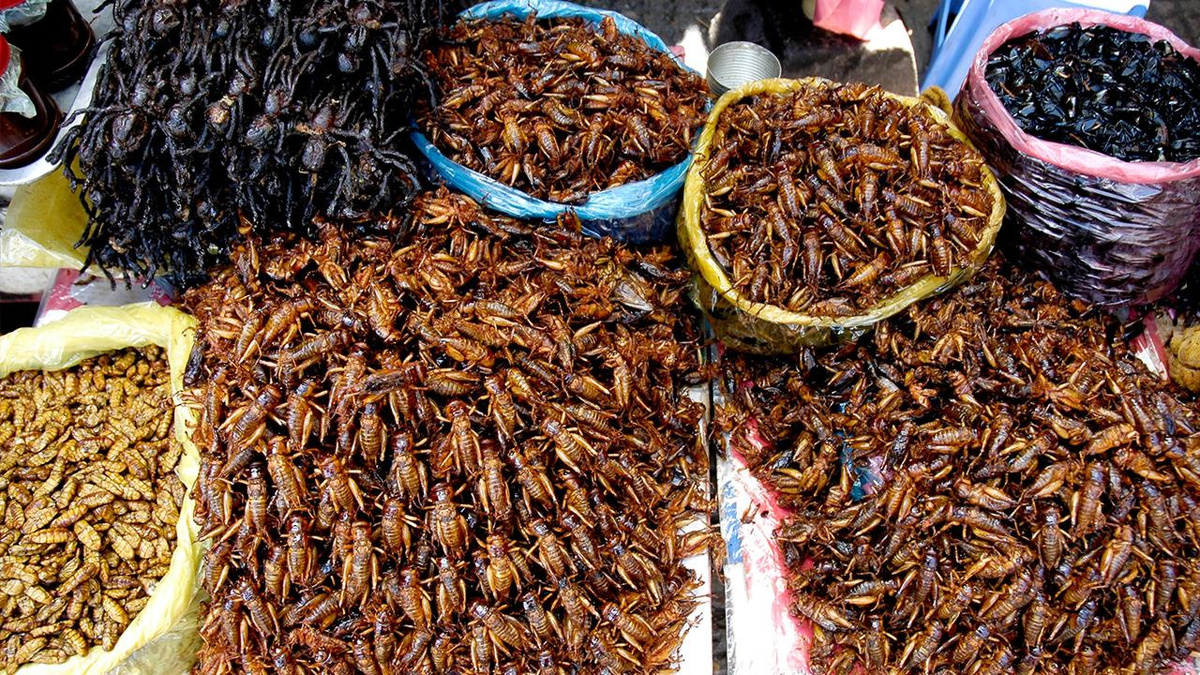 Насекомые вместо мяса: новый белковый тренд или еще одна экзотика?