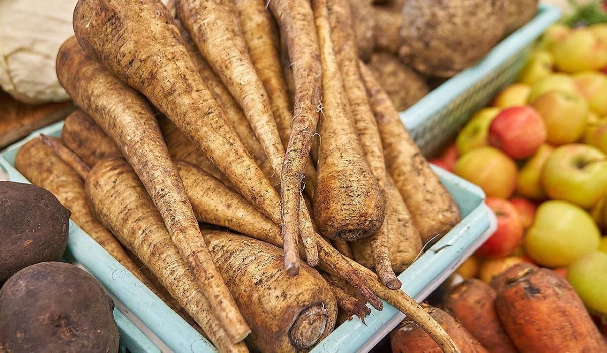 ����� �����������: ��� ������ ���������� ������� ���� ������