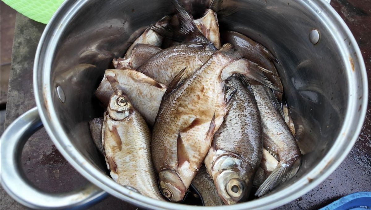 ���������� � ��� ��������� ����