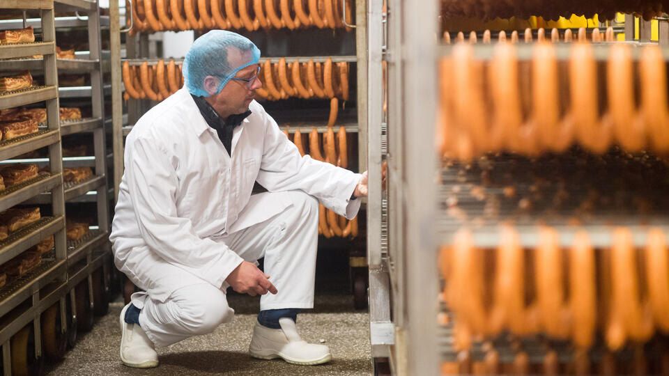 ������������ ���������� ������ ������� �������� � 2026 ����