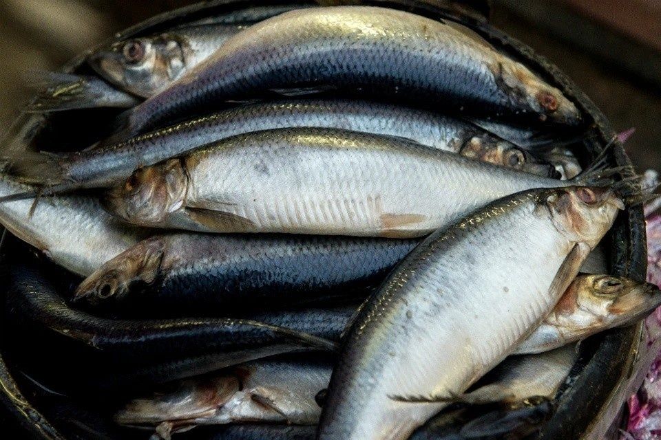 ���� �� ���� � ������: ����� ���� ����� ���������?