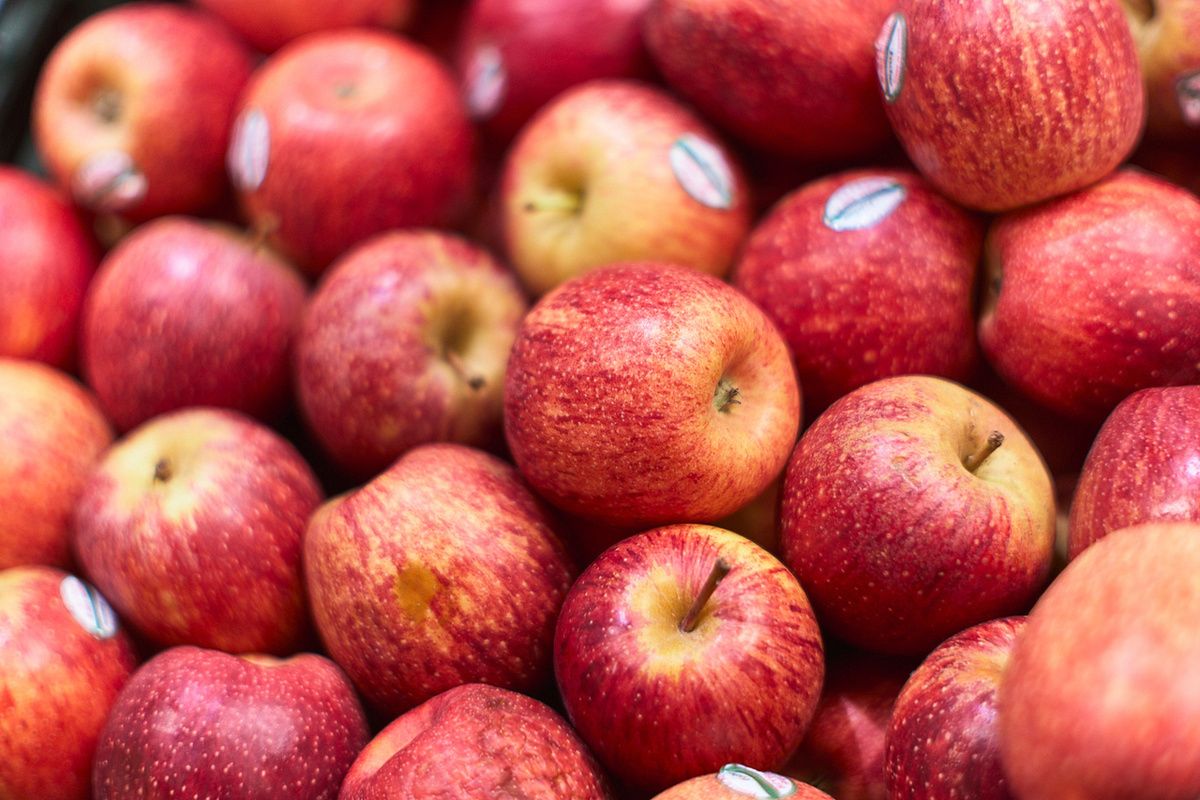 ������: ���� � ��������� � ��������