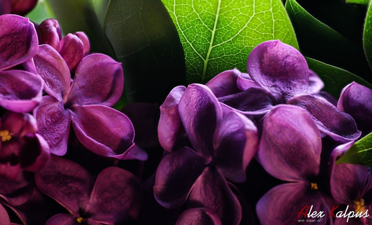 ����� � ����� ������: �������� ������������ ��� �������