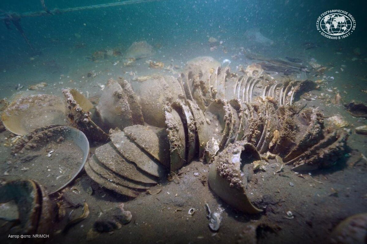 ���������� �������: ������� �������� ��������� 900 ��� ���������� � ������� ����� �����