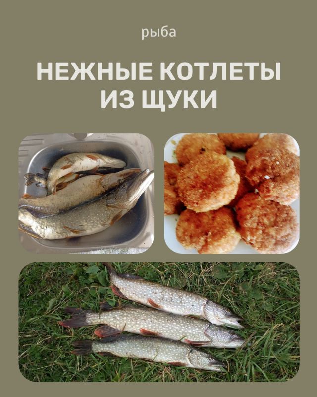 ��������� ������ ������� �� ����: ������ � ��������