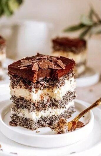 ������ ������� ������� � ��������� ��������