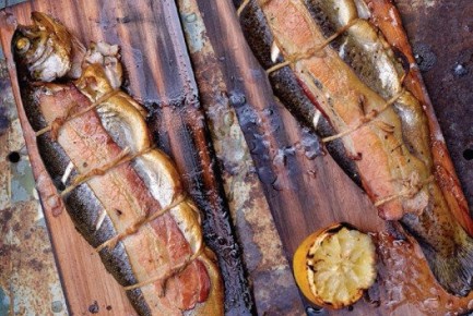 ��� ������ ��������� ������ �� �����