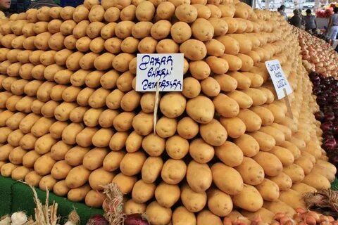 ��� ��������� ������� ��������� �����: ������ � �������