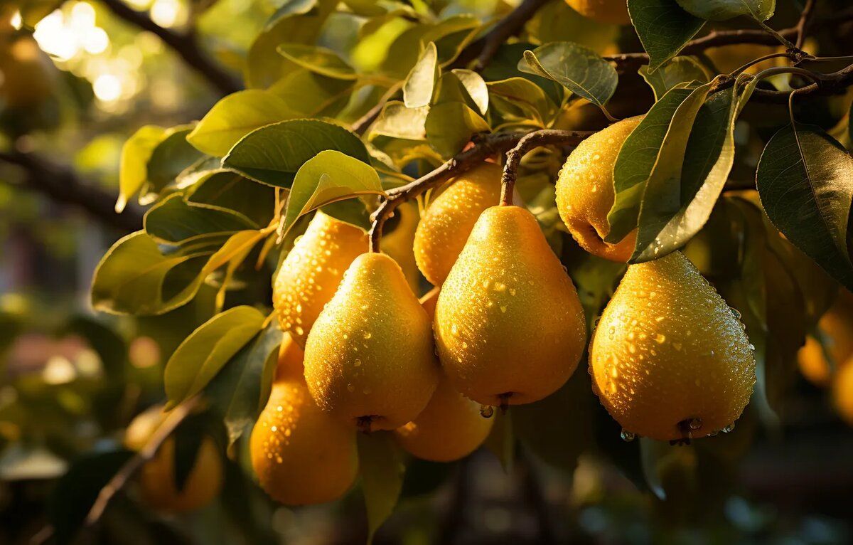 ������ ��������� ������� ��� �����: ������� �������� ������