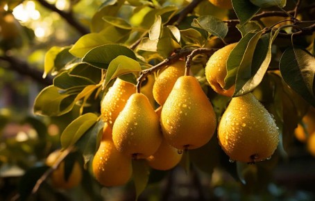 ������ ��������� ������� ��� �����: ������� �������� ������