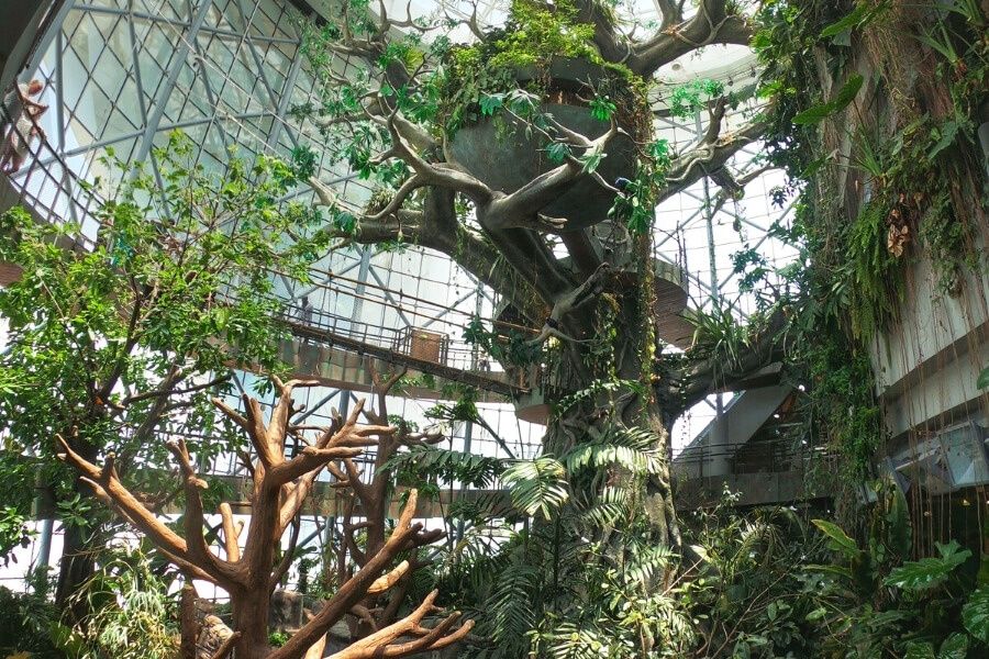 ��� ������� � ������� ������ ��������� ������ �����?