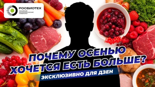 Сезоны и питание: как менять рацион в зависимости от времени года