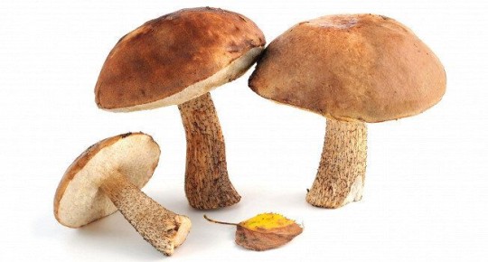 ��� �������� ������������� � ���������