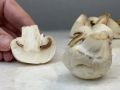 Грибная закуска, которая покорит сердца ваших гостей