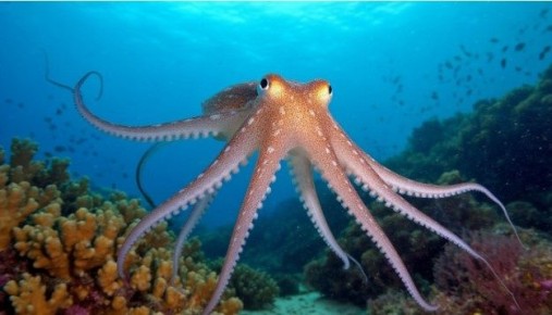 ���������� �������� � �������� �����: ���������� ����� ��� ��������������� ��������