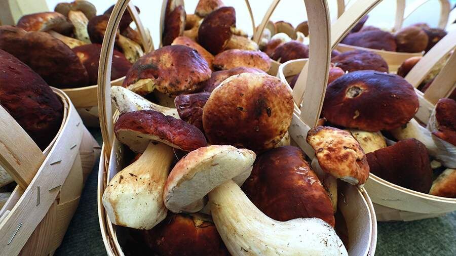 Советы шеф-повара: Как правильно заморозить белые грибы на зиму