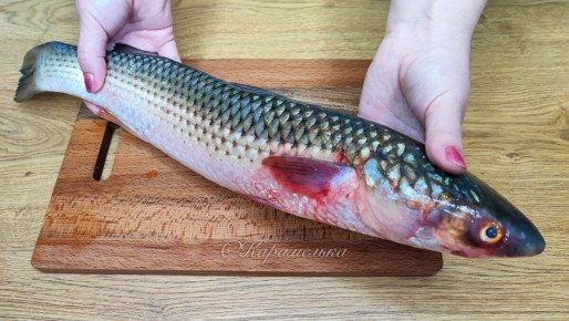 ��������� ������ � �����: ������� � ������� ����� ��� ���� �����