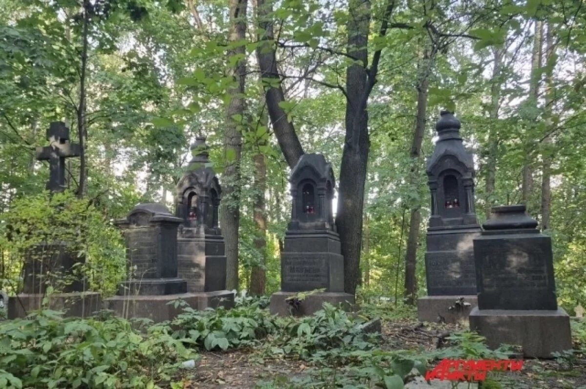 Можно ли собирать грибы у кладбища: мнение эксперта