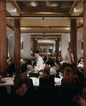 ��� �������� �������� ������: ������ ����������� �� Novikov Group