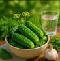 Малосольные огурцы: секреты приготовления для летнего стола